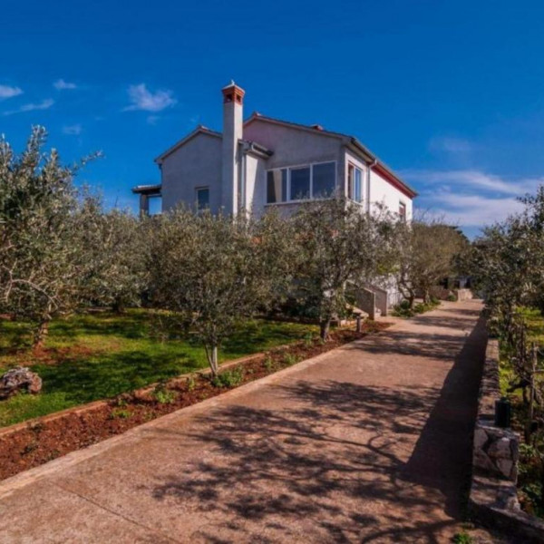 Apartmani Cvita, Apartmani Cvita Ugljan  Ugljan