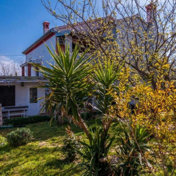 Apartmani Cvita, Apartmani Cvita Ugljan  Ugljan