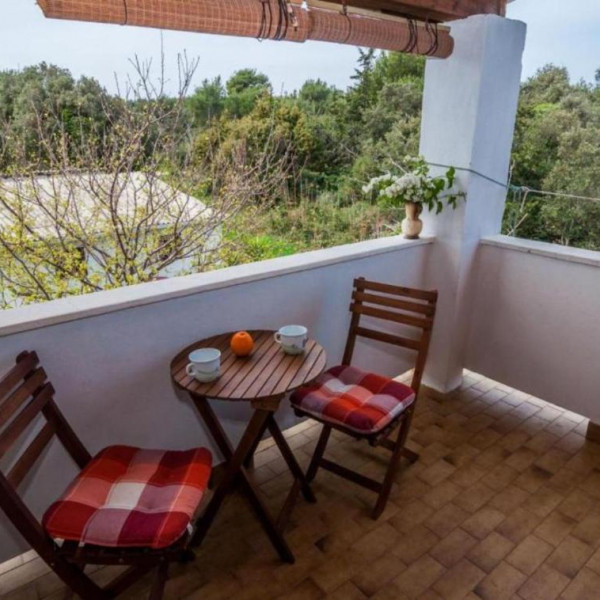 Living room, Apartmani Cvita, Apartmani Cvita Ugljan  Ugljan