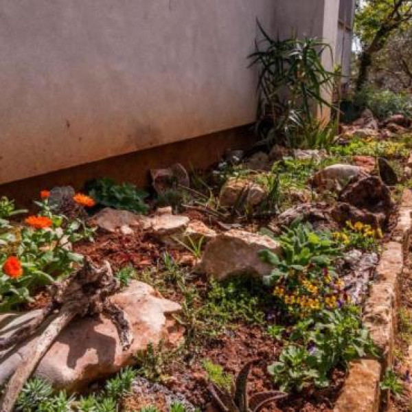 Apartmani Cvita, Apartmani Cvita Ugljan  Ugljan