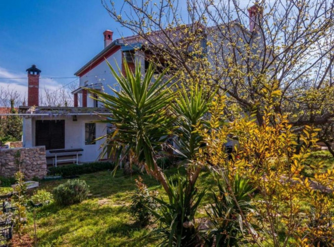 Apartment Cvita, Apartmani Cvita Ugljan  Ugljan