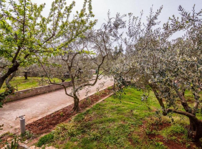 Apartment Cvita, Apartmani Cvita Ugljan  Ugljan