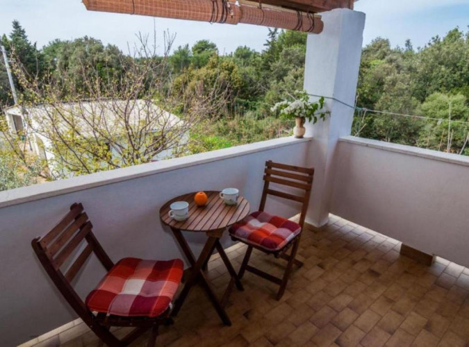 Apartment 2, Apartmani Cvita Ugljan  Ugljan