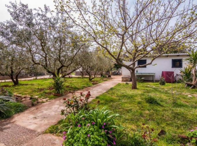 Apartment Cvita, Apartmani Cvita Ugljan  Ugljan