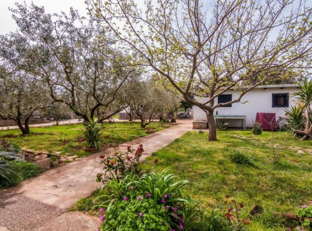 Apartments Cvita - Comfortable and fully equipped apartments with a garden, within walking distance of the beaches., Apartmani Cvita Ugljan  Ugljan